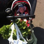 Loaded for Bear at the Farmer Market