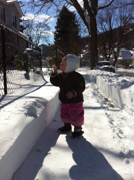 lj020913snow16