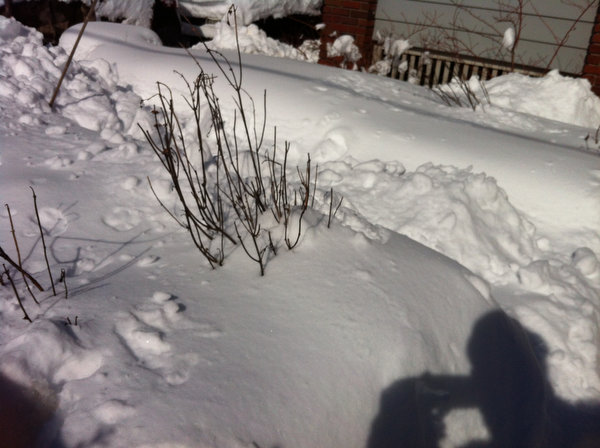 lj020913snow20