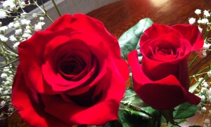 Red roses