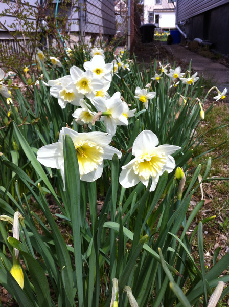 lj041513spring01