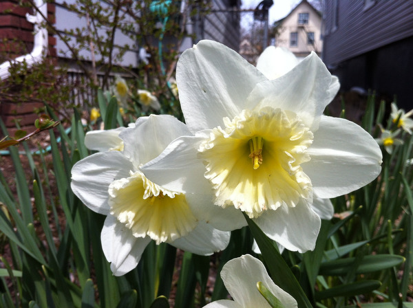 lj041513spring02
