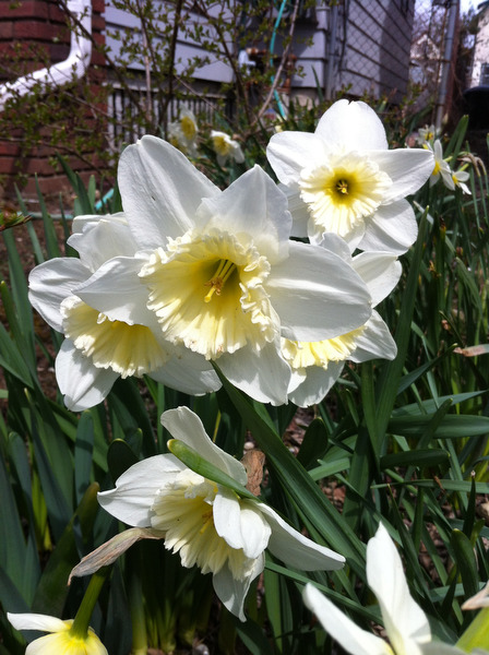 lj041513spring03