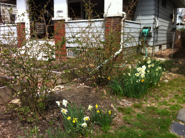 lj041513spring04