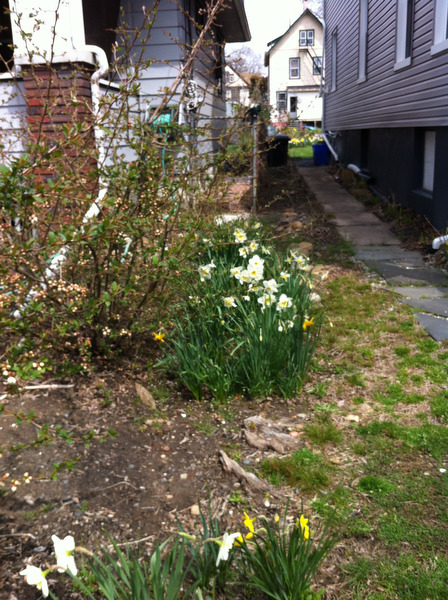 lj041513spring05