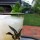 First Cocktails on the New Patio: Gin Gin Mules