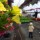 Choosing Flowers for the Porch