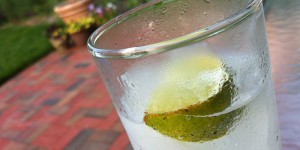 lj060113gin01